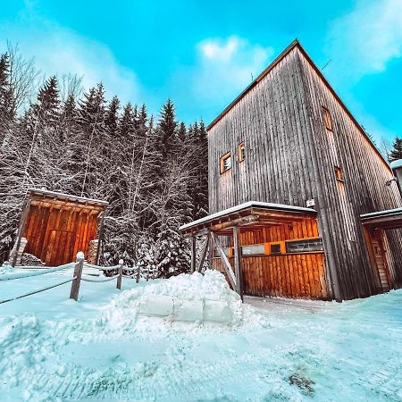 Naturepark Resort Harrachov Extérieur photo